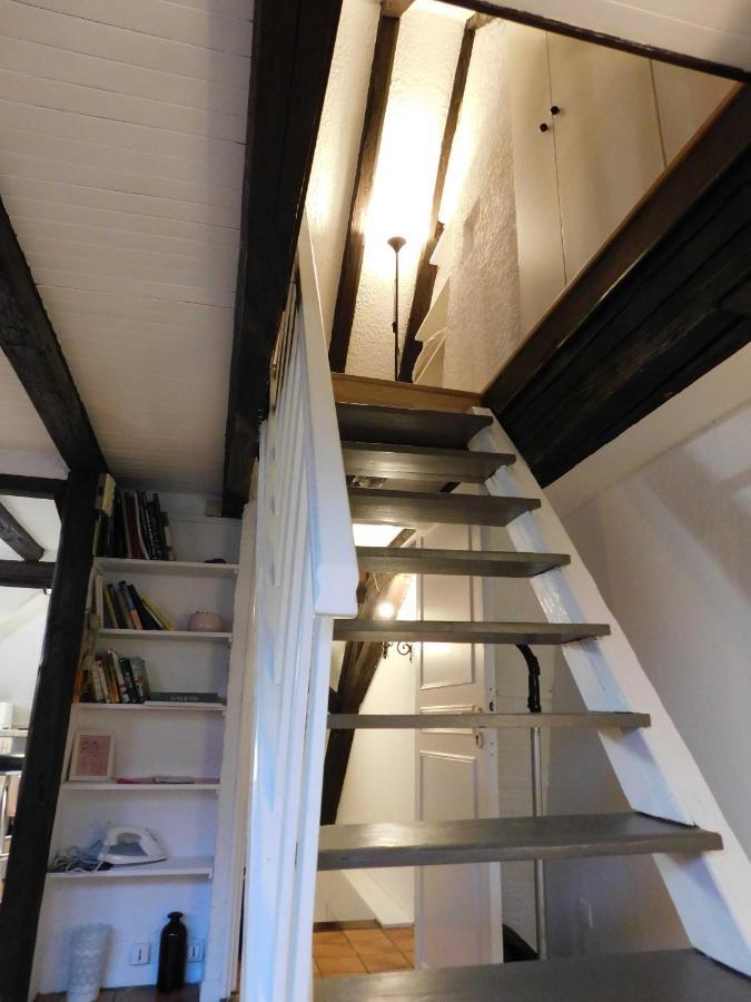 Appartement Typique Et Cosy A Deux Pas De La Cathedrale Strazburg Dış mekan fotoğraf