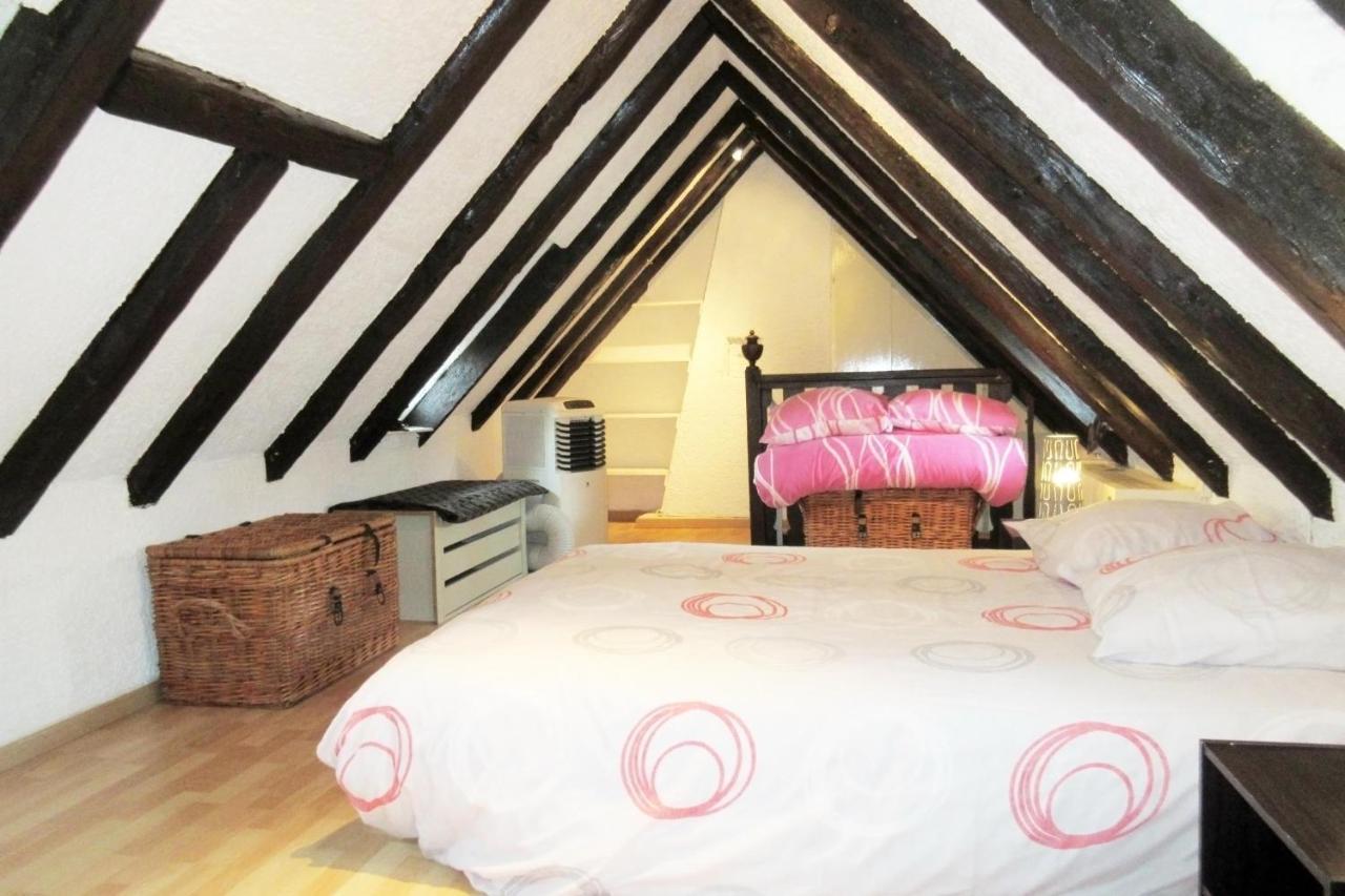 Appartement Typique Et Cosy A Deux Pas De La Cathedrale Strazburg Dış mekan fotoğraf