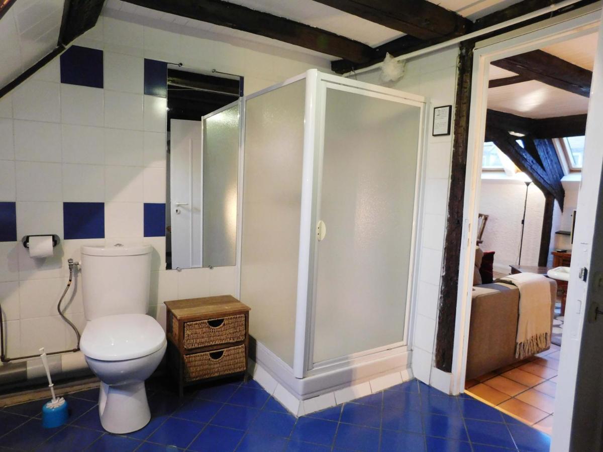 Appartement Typique Et Cosy A Deux Pas De La Cathedrale Strazburg Dış mekan fotoğraf