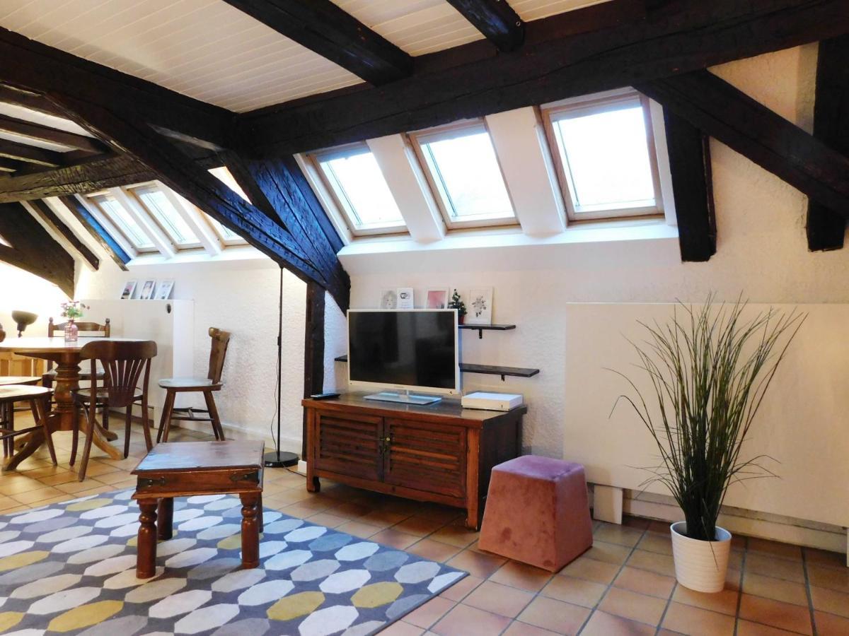 Appartement Typique Et Cosy A Deux Pas De La Cathedrale Strazburg Dış mekan fotoğraf