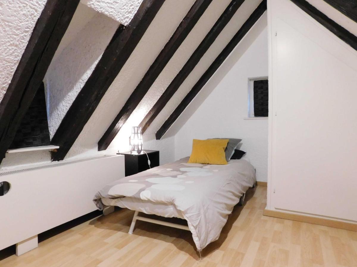 Appartement Typique Et Cosy A Deux Pas De La Cathedrale Strazburg Dış mekan fotoğraf