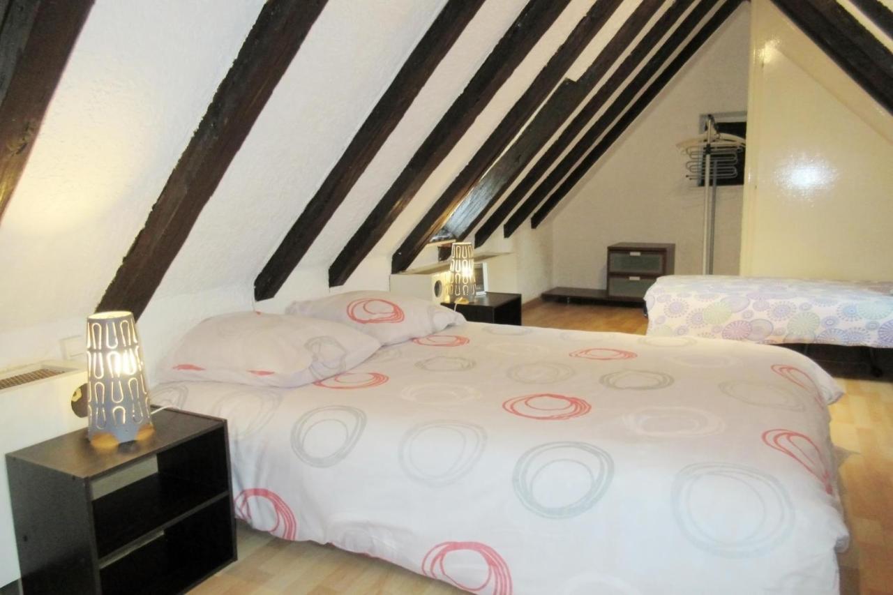 Appartement Typique Et Cosy A Deux Pas De La Cathedrale Strazburg Dış mekan fotoğraf